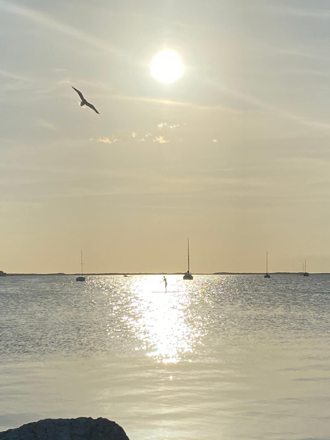 Standup paddleboarding in Key Largo.
