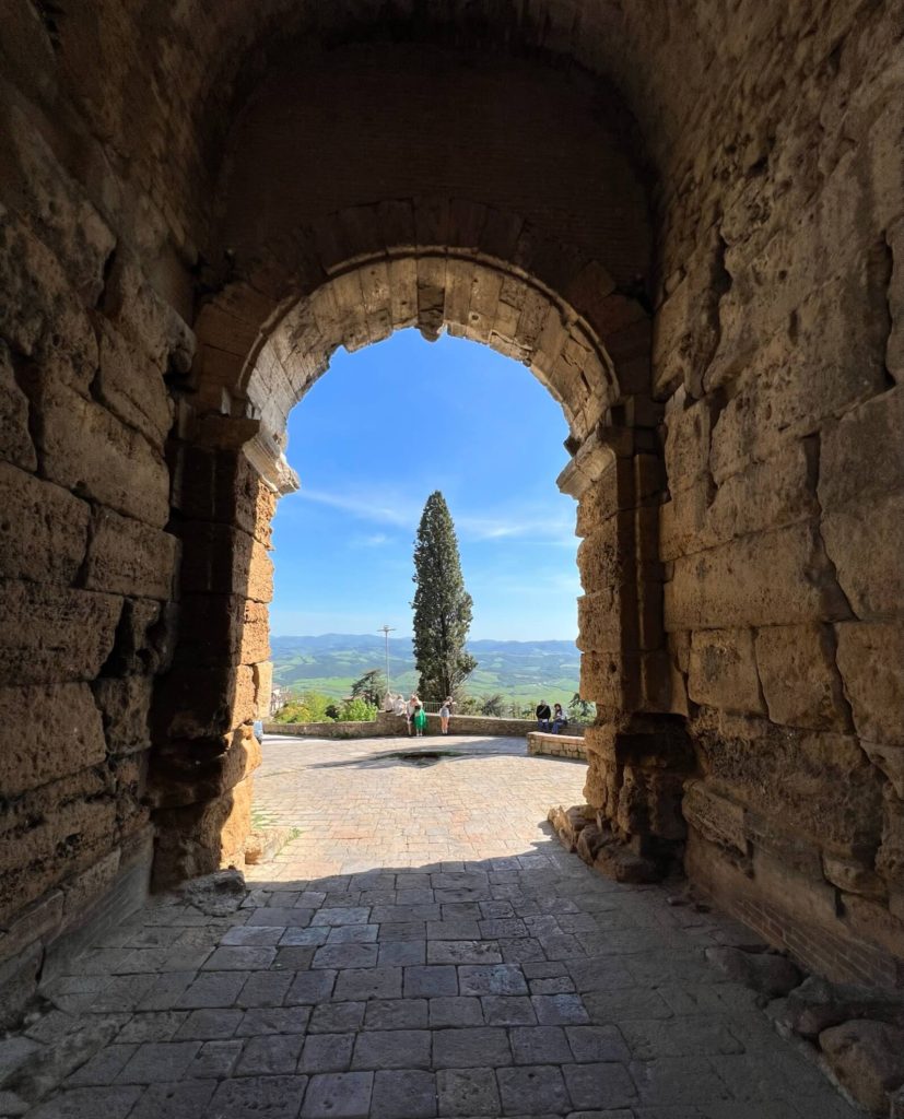 a cypress tree at the end of an old archway