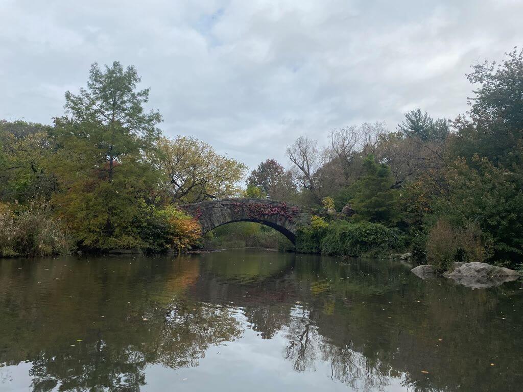 A Bridge In Central Park