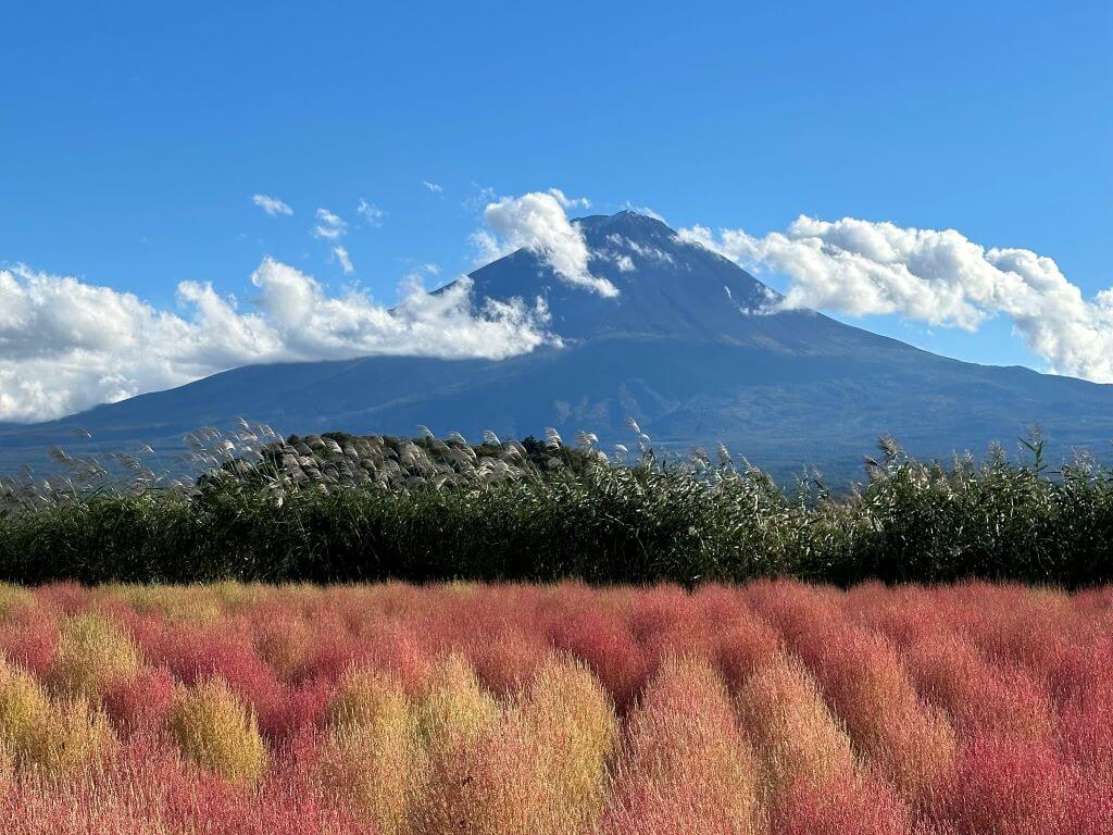Mount Fuji At Oishi Park