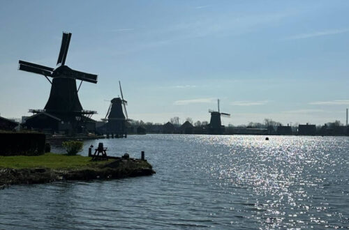 Windmills In The Amsterdam Countryside