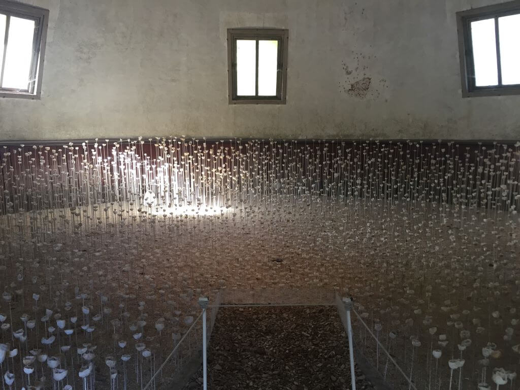 Contemporary Art Exhibit At Domaine Chaumont-sur-Loire's Stables