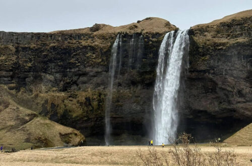 Day Trips From Reykjavik Seljalandsfoss