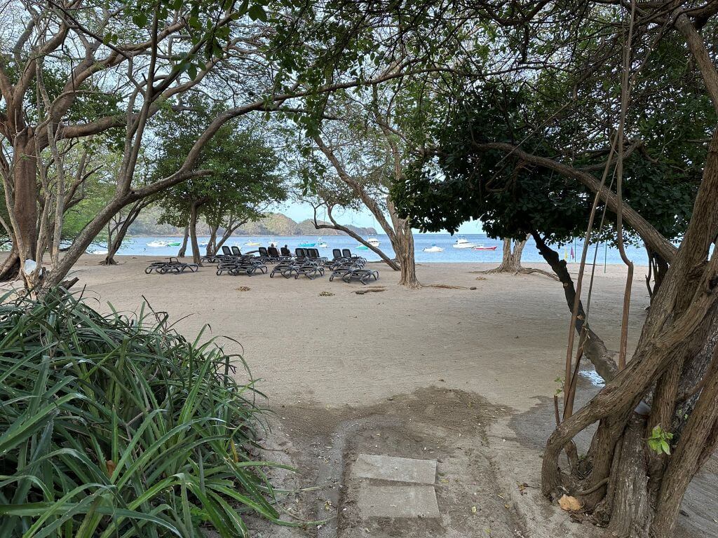 Walking Onto Playa Jobo From Dreams Las Mareas