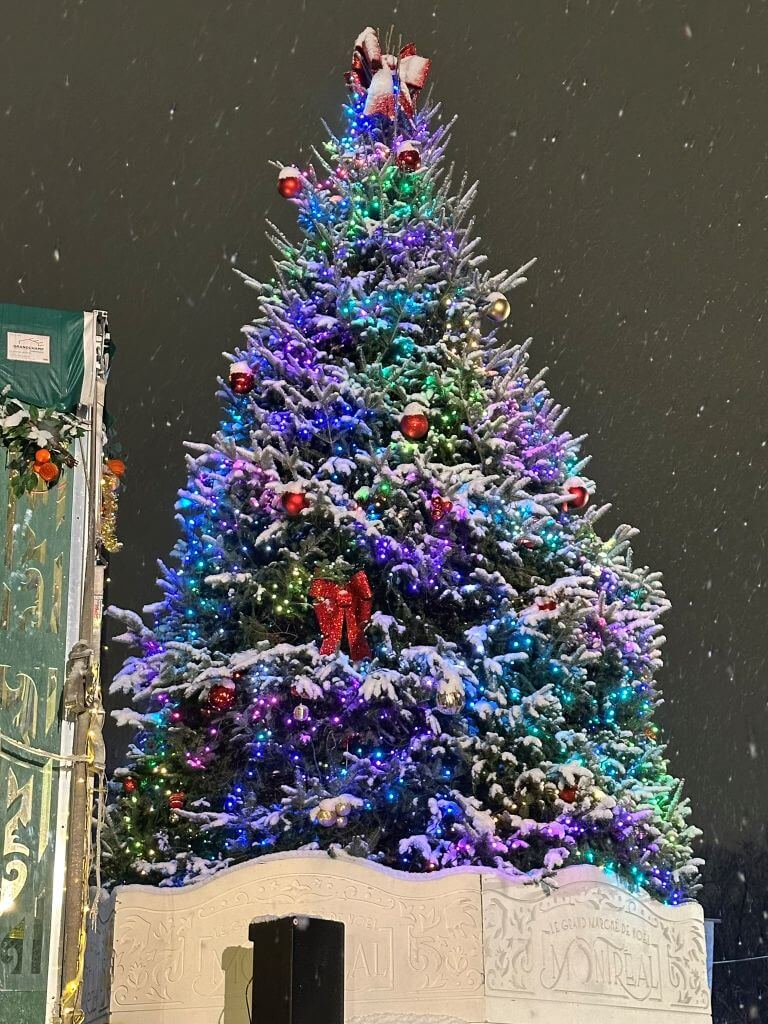 Christmas Tree In The Snow At The Great Montreal Christmas Market