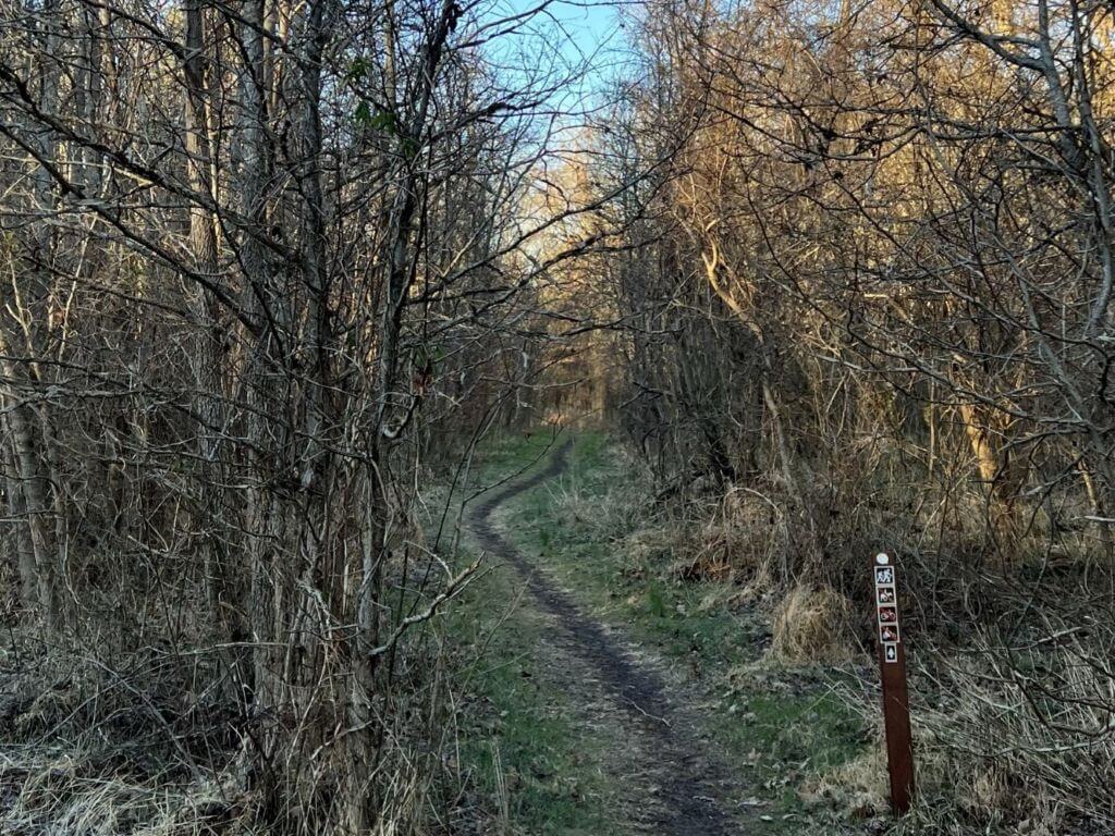 A Hiking Trail In Durham Winding Through The Trees